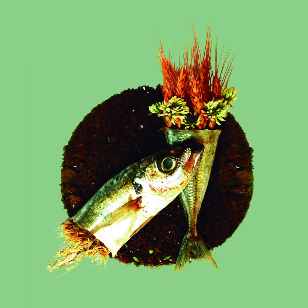 -Cartel los panes y los peces - cmyk